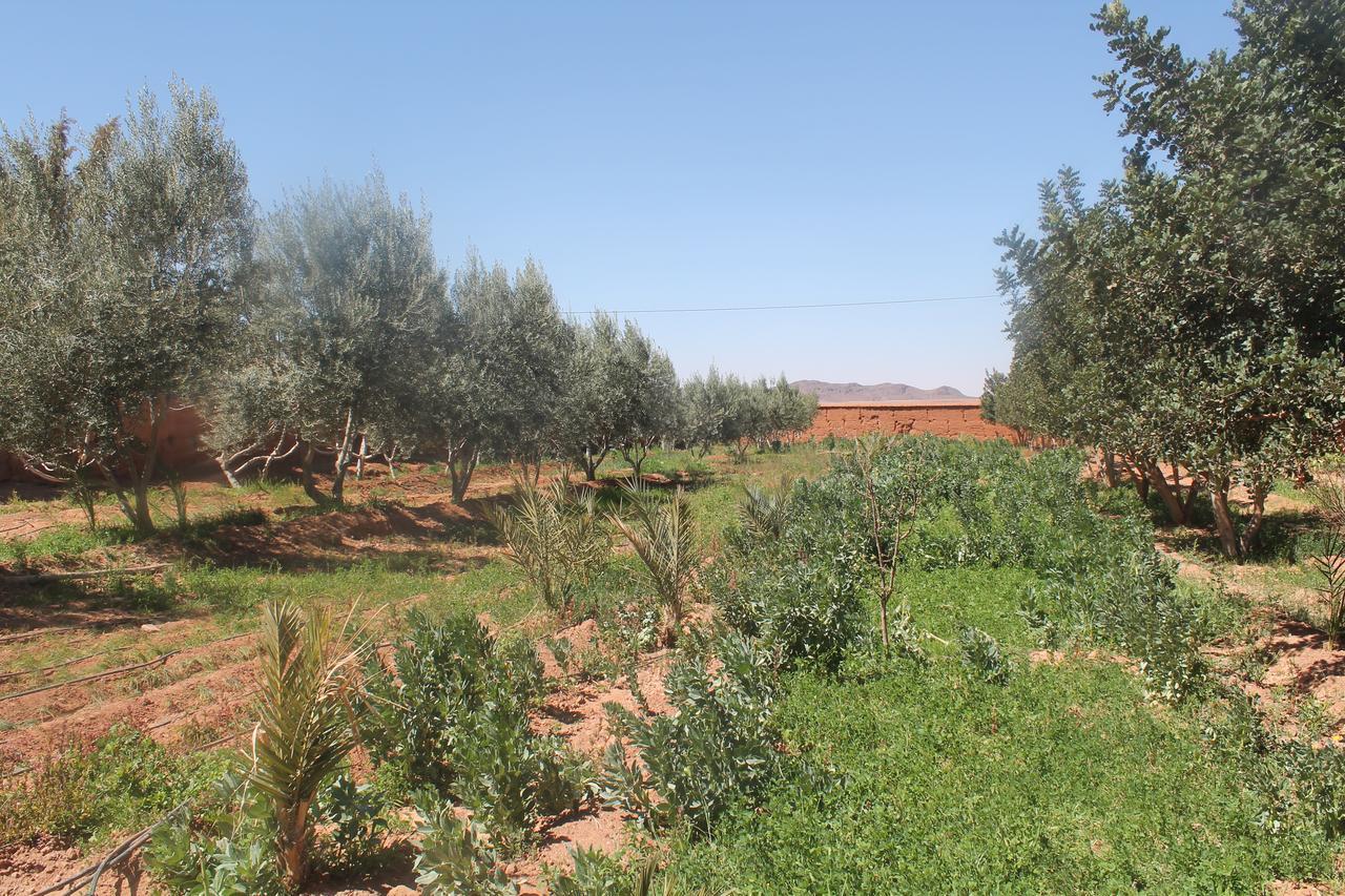 Dar Alfourssane Ferme D'Hote Ouarzazate Exteriör bild