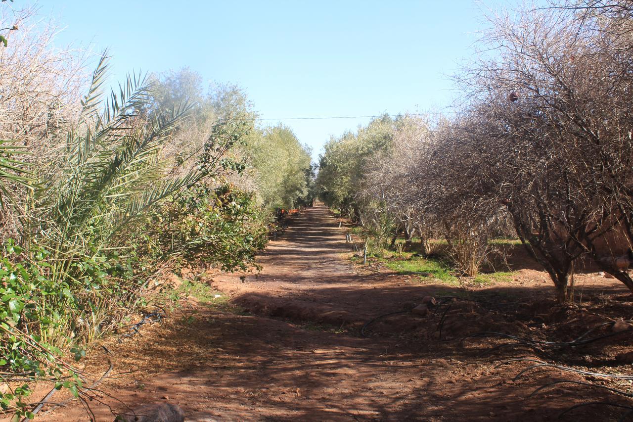 Dar Alfourssane Ferme D'Hote Ouarzazate Exteriör bild